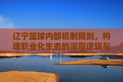辽宁篮球内部机制规则，构建职业化生态的深层逻辑与运行体系