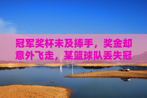 冠军奖杯未及捧手,奖金却意外飞走,某篮球队丢失冠军奖金的遗憾与反思,冠军奖杯未及捧手,奖金意外飞走,某篮球队丢失冠军奖金的遗憾与反思