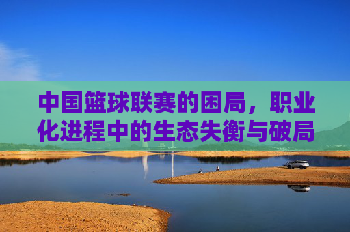 中国篮球联赛的困局，职业化进程中的生态失衡与破局路径探析，中国篮球联赛的困局，职业化进程中的生态失衡与破局路径探析