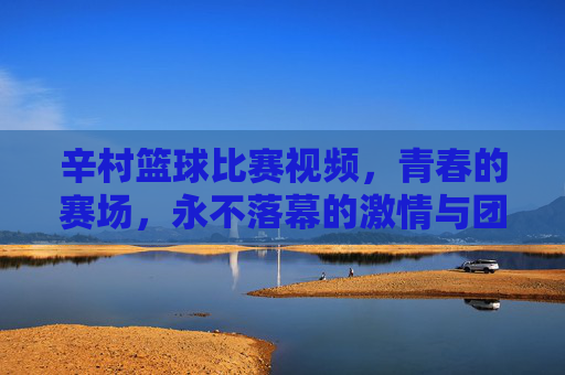 辛村篮球比赛视频，青春的赛场，永不落幕的激情与团结