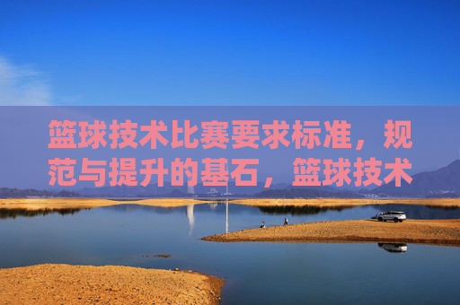 篮球技术比赛要求标准，规范与提升的基石，篮球技术比赛要求标准、规范与提升的基石