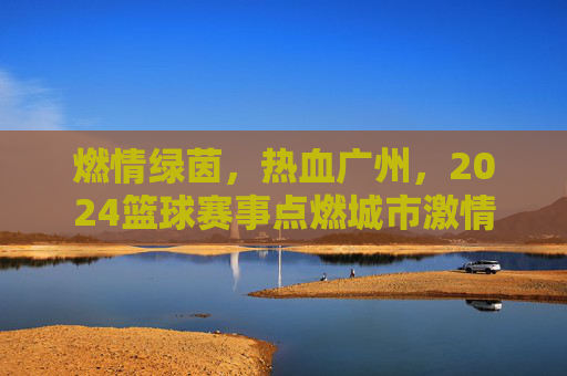 燃情绿茵,热血广州,2024篮球赛事点燃城市激情