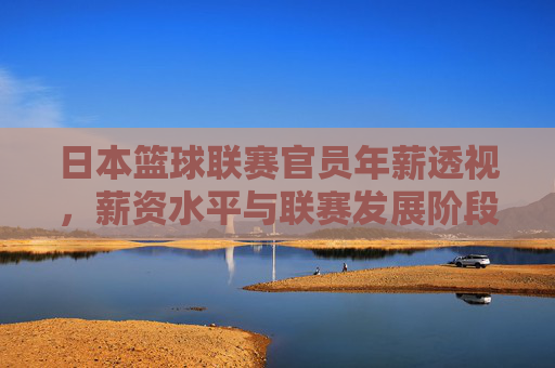 日本篮球联赛官员年薪透视,薪资水平与联赛发展阶段的深度解析