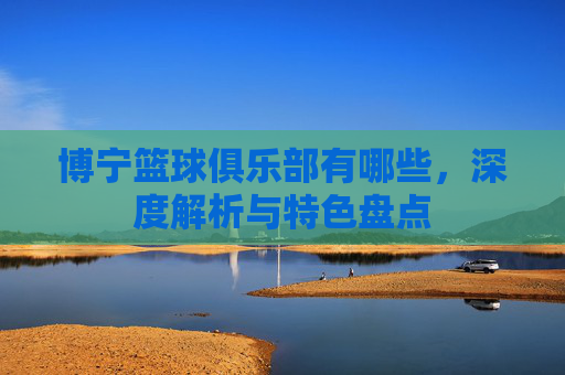 博宁篮球俱乐部有哪些，深度解析与特色盘点