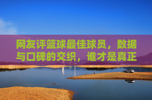 网友评篮球最佳球员，数据与口碑的交织，谁才是真正的MVP？