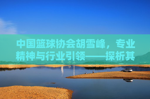 中国篮球协会胡雪峰,专业精神与行业引领——探析其在篮球事业发展中的核心作用与未来展望