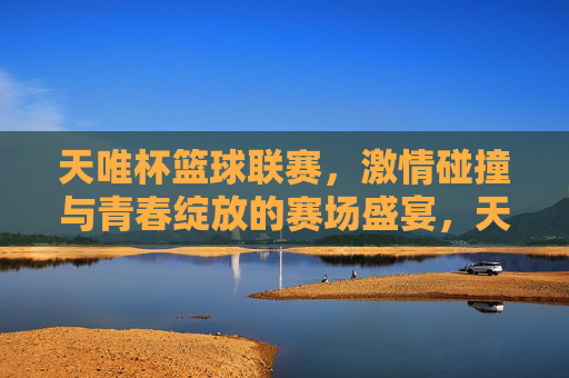 天唯杯篮球联赛，激情碰撞与青春绽放的赛场盛宴，天唯杯篮球联赛，激情碰撞与青春绽放的赛场盛宴