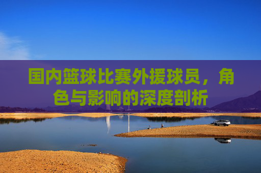 国内篮球比赛外援球员，角色与影响的深度剖析