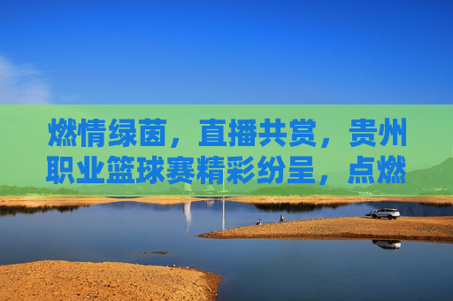 燃情绿茵，直播共赏，贵州职业篮球赛精彩纷呈，点燃城市篮球热情