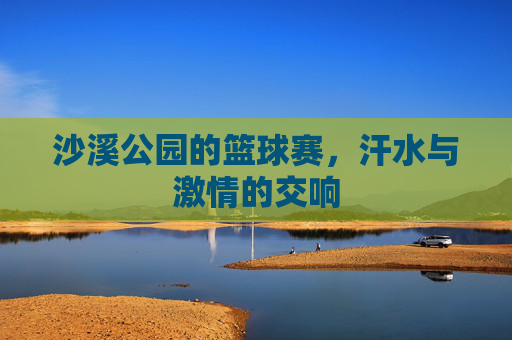沙溪公园的篮球赛，汗水与激情的交响