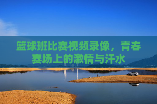 篮球班比赛视频录像,青春赛场上的激情与汗水