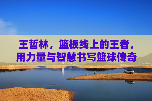 王哲林，篮板线上的王者，用力量与智慧书写篮球传奇——论其统治级篮板能力对球队的影响与个人成长