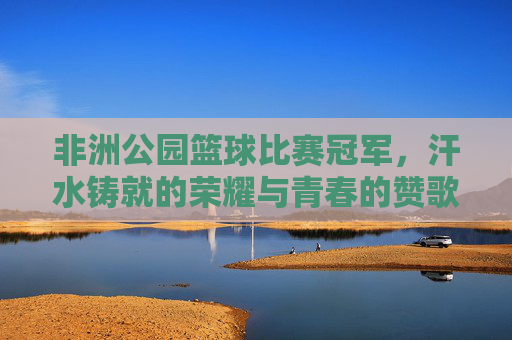 非洲公园篮球比赛冠军，汗水铸就的荣耀与青春的赞歌