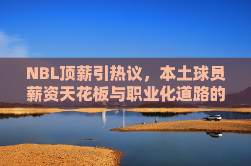 NBL顶薪引热议,本土球员薪资天花板与职业化道路的探索
