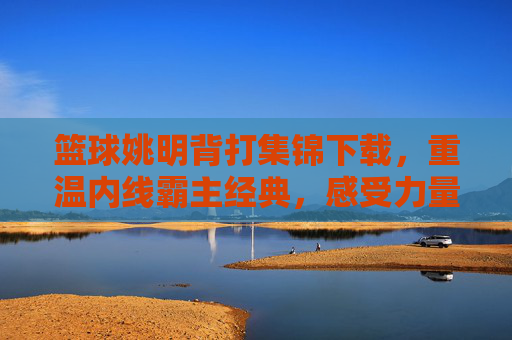 篮球姚明背打集锦下载，重温内线霸主经典，感受力量与技巧的完美融合