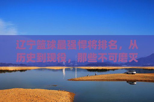 辽宁篮球最强悍将排名,从历史到现役,那些不可磨灭的传奇身影