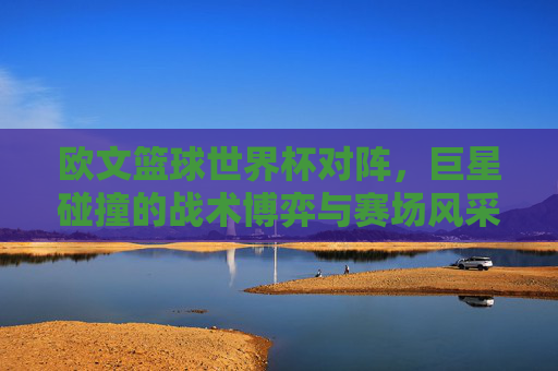 欧文篮球世界杯对阵，巨星碰撞的战术博弈与赛场风采，欧文篮球世界杯对阵，巨星碰撞的战术博弈与赛场风采