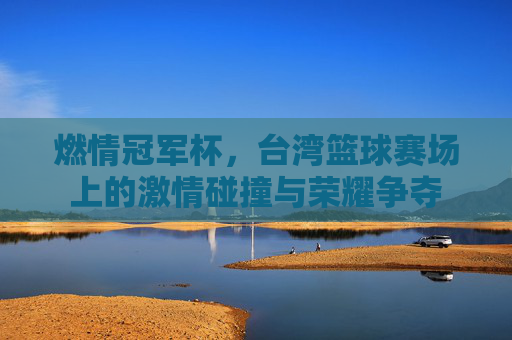 燃情冠军杯,台湾篮球赛场上的激情碰撞与荣耀争夺