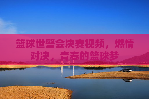 篮球世警会决赛视频，燃情对决，青春的篮球梦