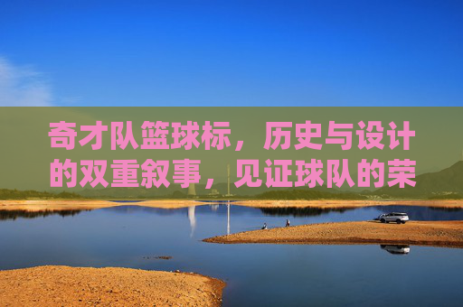 奇才队篮球标，历史与设计的双重叙事，见证球队的荣耀与传承，奇才队篮球标，历史与设计的双重叙事，见证球队的荣耀与传承