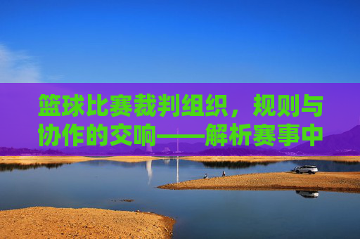 篮球比赛裁判组织，规则与协作的交响——解析赛事中的权威与秩序