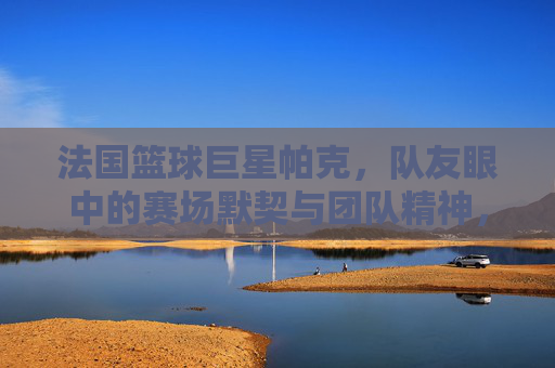 法国篮球巨星帕克，队友眼中的赛场默契与团队精神，法国篮球巨星帕克，队友眼中的赛场默契与团队精神