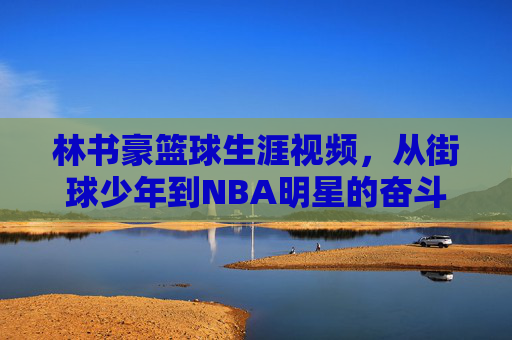 林书豪篮球生涯视频，从街球少年到NBA明星的奋斗轨迹与经典瞬间回顾，林书豪篮球生涯视频，从街球少年到NBA明星的奋斗轨迹与经典瞬间回顾