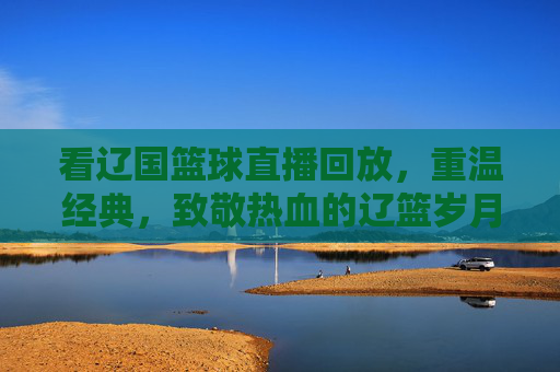 看辽国篮球直播回放，重温经典，致敬热血的辽篮岁月，辽篮直播回放，重温经典，致敬热血岁月
