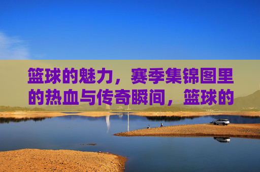 篮球的魅力,赛季集锦图里的热血与传奇瞬间,篮球的魅力,赛季集锦图里的热血与传奇瞬间