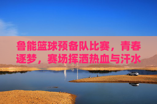 鲁能篮球预备队比赛，青春逐梦，赛场挥洒热血与汗水