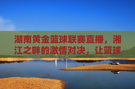 湖南黄金篮球联赛直播,湘江之畔的激情对决,让篮球热情在线上点燃,湖南黄金篮球联赛直播,湘江之畔激情对决,让篮球热情在线点燃
