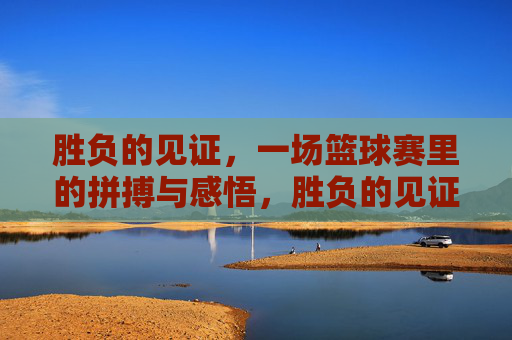 胜负的见证,一场篮球赛里的拼搏与感悟,胜负的见证,一场篮球赛里的拼搏与感悟