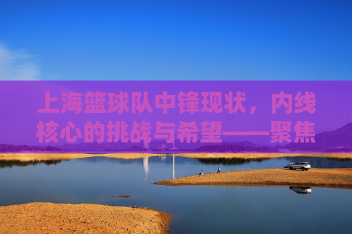上海篮球队中锋现状，内线核心的挑战与希望——聚焦球队现役中锋的表现与角色