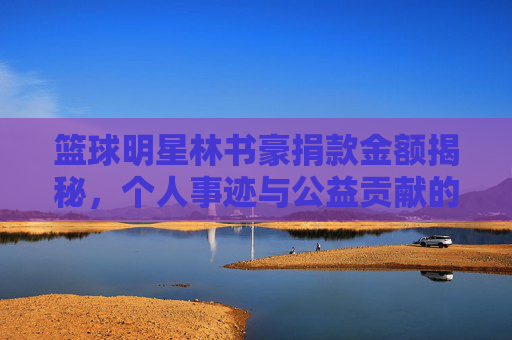 篮球明星林书豪捐款金额揭秘，个人事迹与公益贡献的深度解析