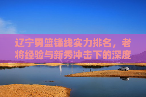 辽宁男篮锋线实力排名，老将经验与新秀冲击下的深度剖析与未来展望