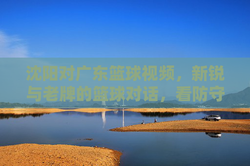 沈阳对广东篮球视频，新锐与老牌的篮球对话，看防守对抗与战术智慧的激烈碰撞