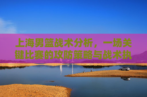 上海男篮战术分析,一场关键比赛的攻防策略与战术执行深度解析