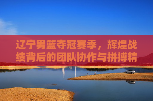 辽宁男篮夺冠赛季,辉煌战绩背后的团队协作与拼搏精神——2023-2024赛季赛季成绩全解析