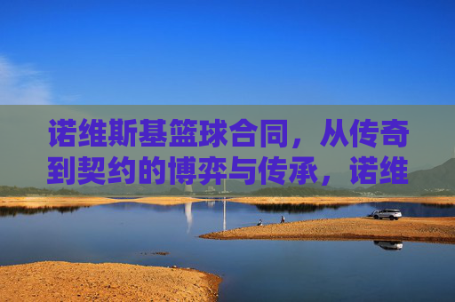 诺维斯基篮球合同,从传奇到契约的博弈与传承,诺维斯基篮球合同,从传奇到契约的博弈与传承