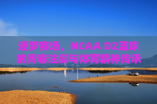 逐梦赛场，NCAA D2篮球的青春注脚与体育精神传承，逐梦赛场，NCAA D2篮球的青春注脚与体育精神传承