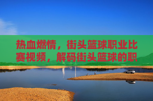 热血燃情，街头篮球职业比赛视频，解码街头篮球的职业化浪潮与视觉盛宴，热血燃情街头篮球职业比赛视频，解码职业化浪潮与视觉盛宴
