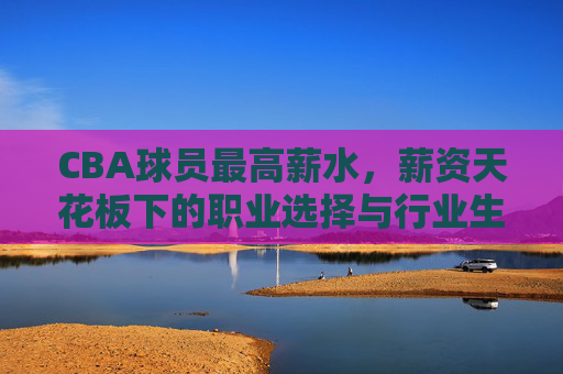 CBA球员最高薪水,薪资天花板下的职业选择与行业生态演变,CBA球员最高薪水,薪资天花板下的职业选择与行业生态演变