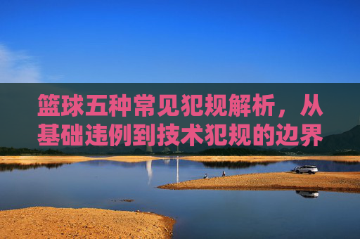 篮球五种常见犯规解析，从基础违例到技术犯规的边界与案例，篮球五种常见犯规解析，从基础违例到技术犯规的边界与案例
