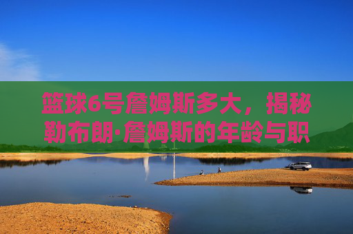 篮球6号詹姆斯多大，揭秘勒布朗·詹姆斯的年龄与职业巅峰，篮球6号詹姆斯多大，揭秘勒布朗·詹姆斯的年龄与职业巅峰