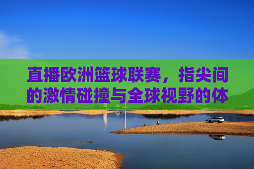 直播欧洲篮球联赛,指尖间的激情碰撞与全球视野的体育盛宴,直播欧洲篮球联赛,指尖间的激情碰撞与全球视野的体育盛宴