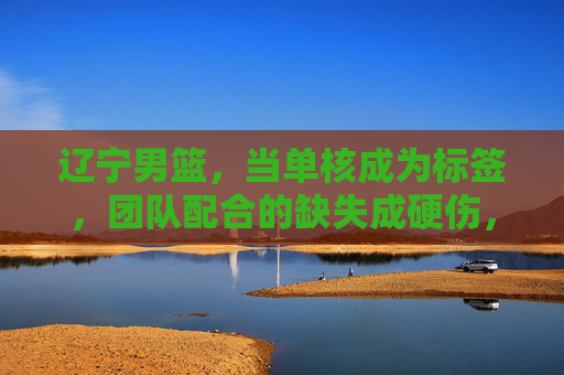 辽宁男篮,当单核成为标签,团队配合的缺失成硬伤,辽宁男篮,单核标签下,团队配合缺失成硬伤