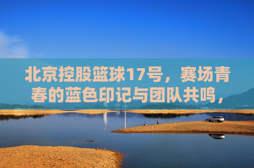 北京控股篮球17号，赛场青春的蓝色印记与团队共鸣，北京控股篮球17号，赛场青春的蓝色印记与团队共鸣