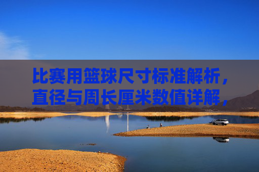 比赛用篮球尺寸标准解析,直径与周长厘米数值详解,比赛用篮球尺寸标准解析,直径与周长厘米数值详解