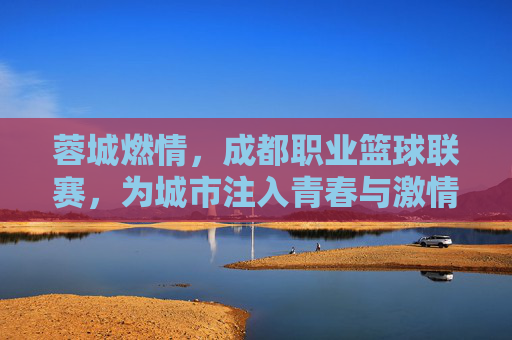 蓉城燃情,成都职业篮球联赛,为城市注入青春与激情的体育活力,蓉城燃情,成都职业篮球联赛为城市注入青春与激情的体育活力