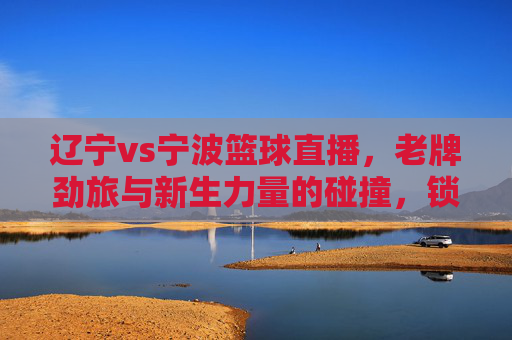 辽宁vs宁波篮球直播，老牌劲旅与新生力量的碰撞，锁定赛场精彩瞬间，辽宁vs宁波篮球直播，老牌劲旅与新生力量碰撞，锁定赛场精彩瞬间